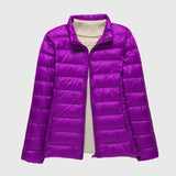 Purple Stand-up Collar