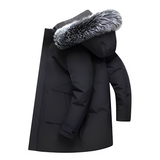 Black / Gray