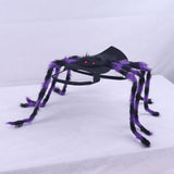 Purple Black