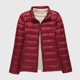 Burgundy Stand-up collar