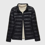 Black Stand Collar