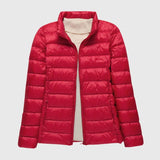 Red Stand Collar