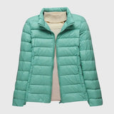 Turquoise Stand-up collar