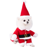 Christmas Upright Outfit