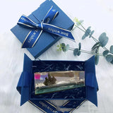 Pirate Ship Plus Gift Box