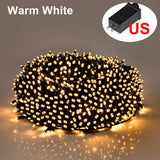 Warm White
