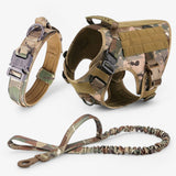 Camouflage Set