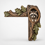 Raccoon