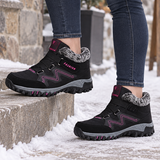 Black Fuchsia